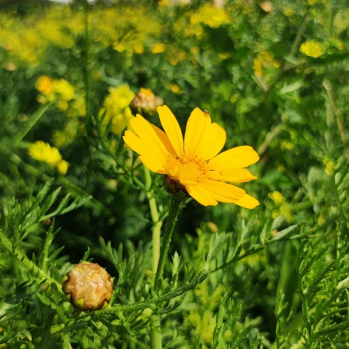 Stomik i wiosna – jak dbać o siebie wiosną?