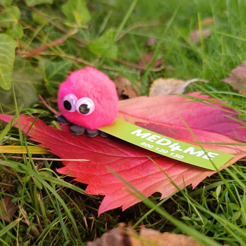 Stomia czym się różni opcja: na zawsze i czasowo