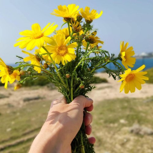 Stoma-protip. Jak przygotować się na wieczór poza domem? Dzień Kobiet ze stomią.